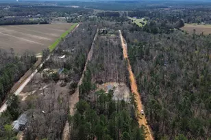 142 Sandy Fox Rd, Swansea, SC 29160 - Photo 42