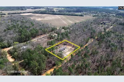 142 Sandy Fox Road, Swansea, SC 29160 - Photo 2