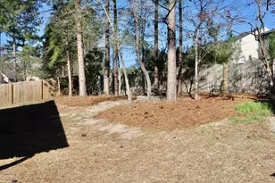 116 Stanley Ct, Lexington, SC 29073 - Photo 34