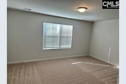 327 Canary Grass Court, Lexington, SC 29072 - Photo 8