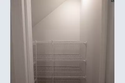 327 Canary Grass Court, Lexington, SC 29072 - Photo 4