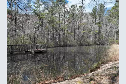 141 Woodstork Way, Lexington, SC 29073 - Photo 48