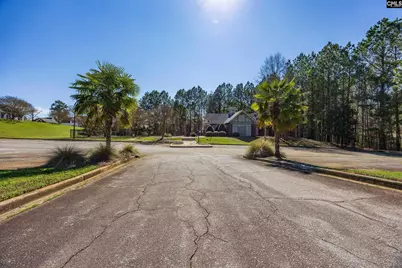 121 Black Creek Lane, Irmo, SC 29063 - Photo 32