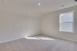 308 Brass Billion Path, Lexington, SC 29073 - Photo 44