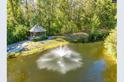 165 Preserve Lane, Columbia, SC 29209 - Photo 42