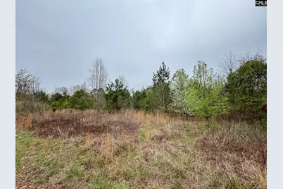 0 S Bethlehem Road, Batesburg, SC 29006 - Photo 4