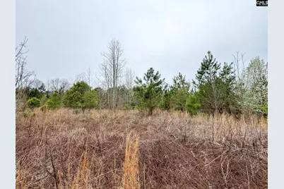 0 S Bethlehem Road, Batesburg, SC 29006 - Photo 1