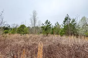 0 S Bethlehem Rd, Batesburg, SC 29006 - Photo 1