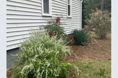 627 Two Notch Road, Lexington, SC 29073 - Photo 28