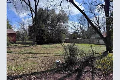 213 Hudson Street, Winnsboro, SC 29180 - Photo 14