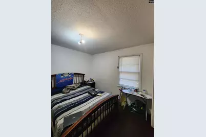 5527 Holmes Avenue, Columbia, SC 29203 - Photo 6