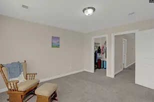 205 Chestnut Wren Rd, Blythewood, SC 29016 - Photo 36