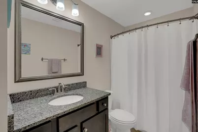 205 Chestnut Wren Road, Blythewood, SC 29016 - Photo 38