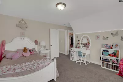 205 Chestnut Wren Road, Blythewood, SC 29016 - Photo 44