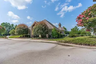 205 Chestnut Wren Rd, Blythewood, SC 29016 - Photo 54