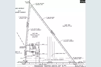 243 Woodside Shores Drive, Prosperity, SC 29127 - Photo 4