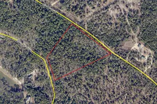 0 Edisto Lake Rd, Wagener, SC 29164 - Photo 2