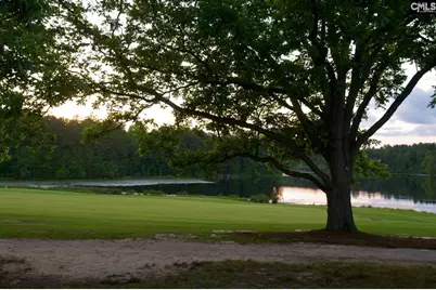 234 Thacher Loop, Elgin, SC 29045 - Photo 34
