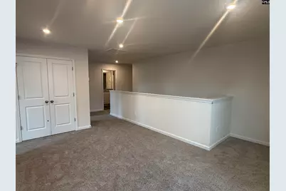 569 Swamp Grass Drive, Columbia, SC 29209 - Photo 16