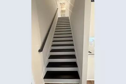 569 Swamp Grass Drive, Columbia, SC 29209 - Photo 14