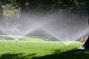 3006 Hanging Valley Rd, Blythewood, SC 29016 - Photo 46