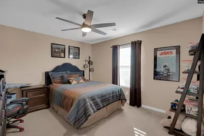 308 Turkey Beard Court, Chapin, SC 29036 - Photo 24