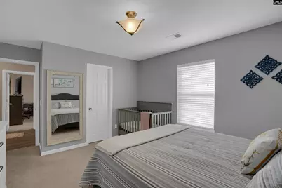 308 Turkey Beard Court, Chapin, SC 29036 - Photo 22