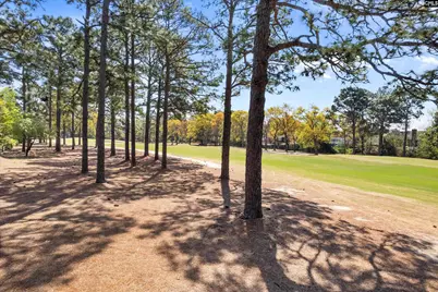 58 Mallet Hill Court, Columbia, SC 29223 - Photo 42