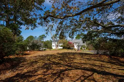 58 Mallet Hill Court, Columbia, SC 29223 - Photo 58