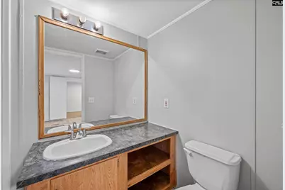 219 Paula Court, Gaston, SC 29053 - Photo 10