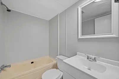 219 Paula Court, Gaston, SC 29053 - Photo 16