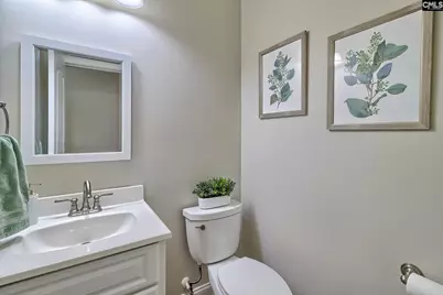 433 Oxenbridge Way, Chapin, SC 29036 - Photo 24