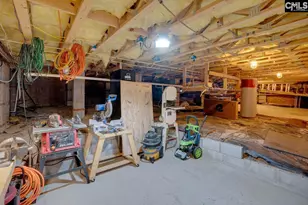 180 Palm St, Chapin, SC 29036 - Photo 48