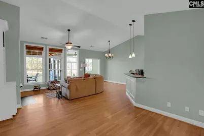 180 Palm Street, Chapin, SC 29036 - Photo 14