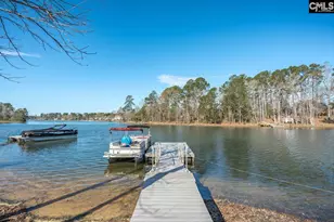 180 Palm St, Chapin, SC 29036 - Photo 4