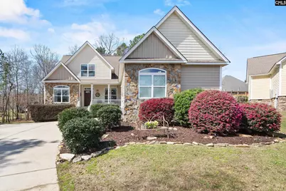 157 Blue Wing Drive, Gilbert, SC 29054 - Photo 1