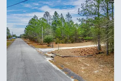 219 &amp; 223 Donald Drive #3, Lexington, SC 29073 - Photo 10