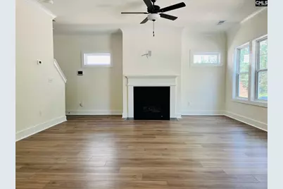 119 Balis Farm Circle, Blythewood, SC 29016 - Photo 8