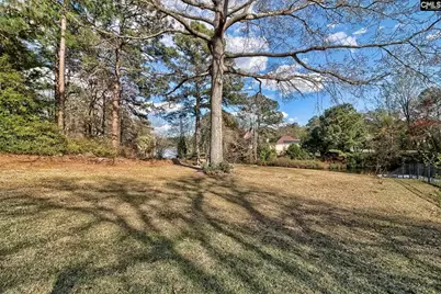 329 Deer Run Road, Elgin, SC 29045 - Photo 4