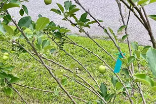 329 Deer Run Rd, Elgin, SC 29045 - Photo 40