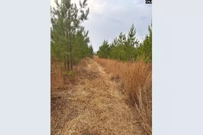 Qbf 12 Nurnberg Drive Qbf 12, Batesburg, SC 29070 - Photo 8