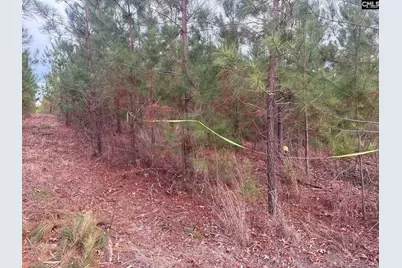 Qbf 12 Nurnberg Drive Qbf 12, Batesburg, SC 29070 - Photo 4