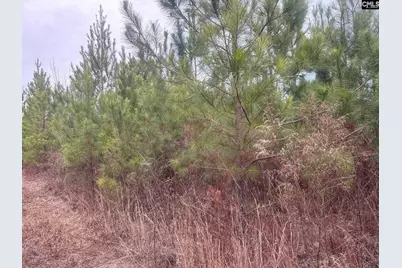 Qbf 12 Nurnberg Drive Qbf 12, Batesburg, SC 29070 - Photo 12