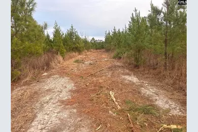 Qbf 12 Nurnberg Drive Qbf 12, Batesburg, SC 29070 - Photo 16