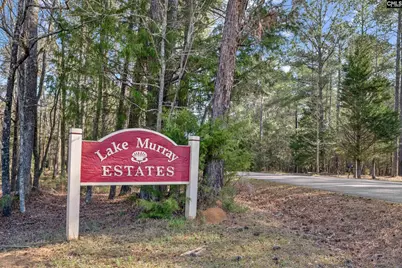 120 Little Saluda Lane, Batesburg, SC 29006 - Photo 62