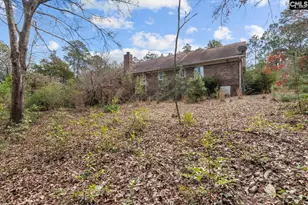 415 Bruce Dr, Camden, SC 29020 - Photo 32