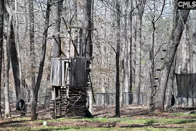88 Running Deer Road, Blythewood, SC 29016 - Photo 20