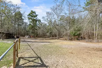 3562 Calks Ferry Rd, Pelion, SC 29123 - Photo 34