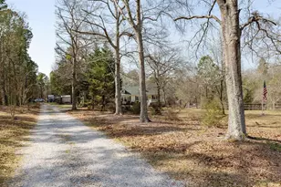 3562 Calks Ferry Rd, Pelion, SC 29123 - Photo 38