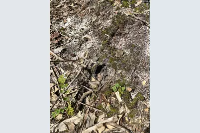 Ppf 14 Payne Pond Road Ppf 14, Westville, SC 29175 - Photo 10